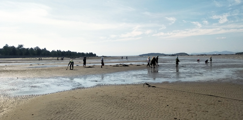 Người dân