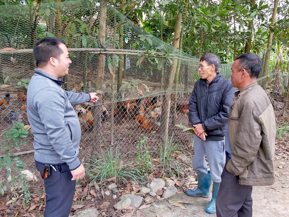 Anh Triệu Văn Sáng., người có uy tín ở thôn Thìn Thủ, xã Quảng An (Đầm Hà) trò chuyện cùng các gia đìnhtrong thôn về phát triển mô hình chăn nuôi gà.