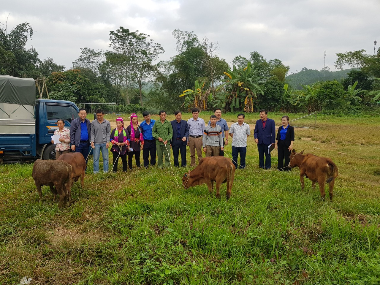 Tỉnh Đoàn trao bò giống sinh sản cho các hộ thanh niên nghèo ở Tiên Yên