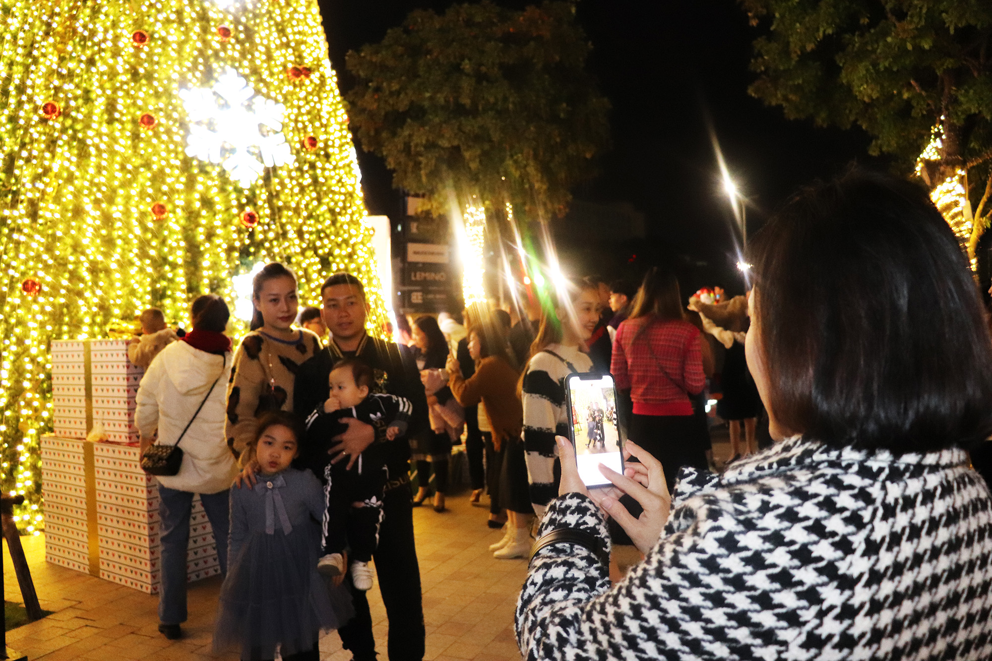 Nhiều bạn trẻ tranh thủ chụp hình bên những cây thông Noel lộng lẫy