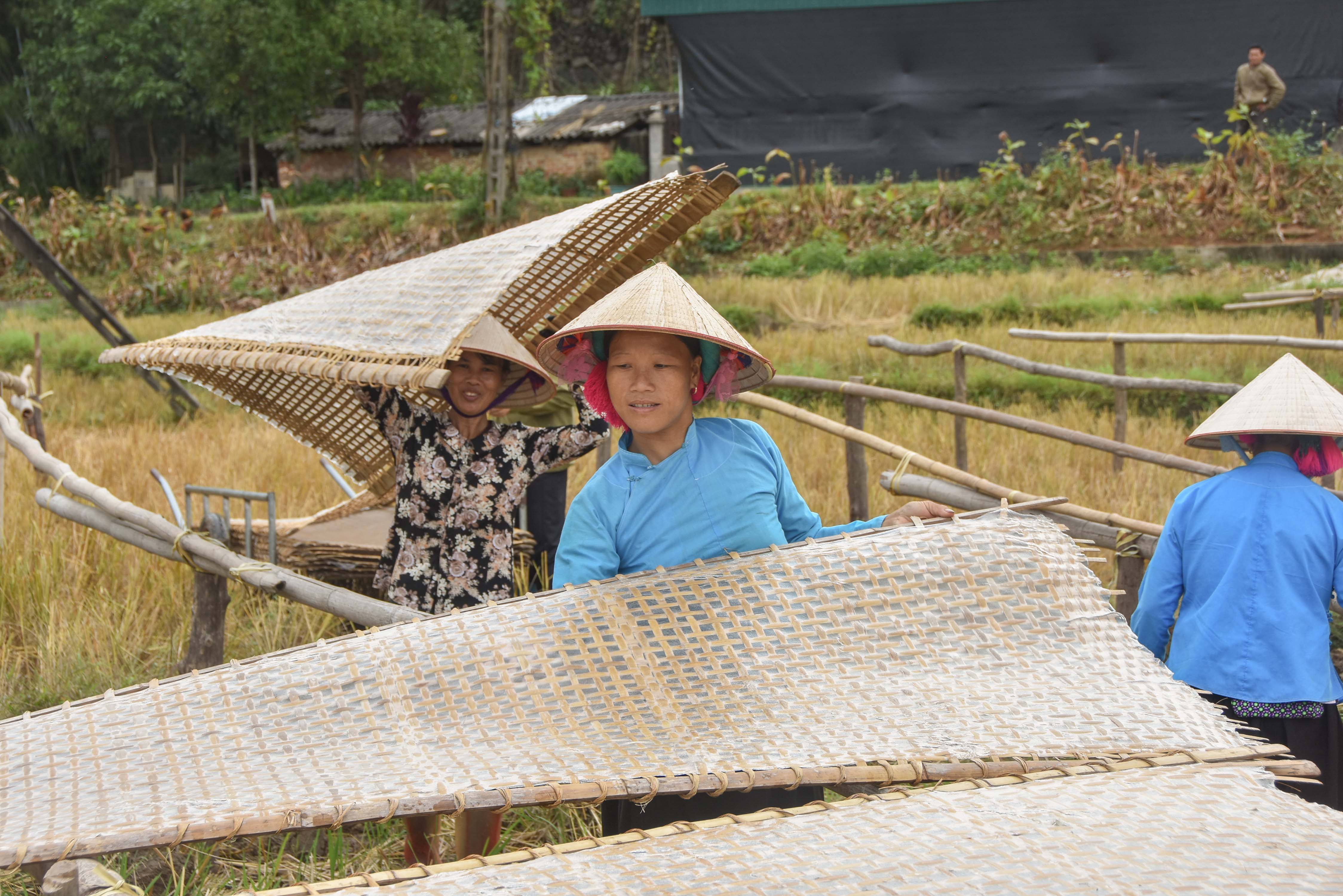 Nghề làm miến dong ở xã Húc Động (huyện Bình Liêu) theo mô hình hợp tác xã đã giúp nhiều gia đình thoát nghèo.