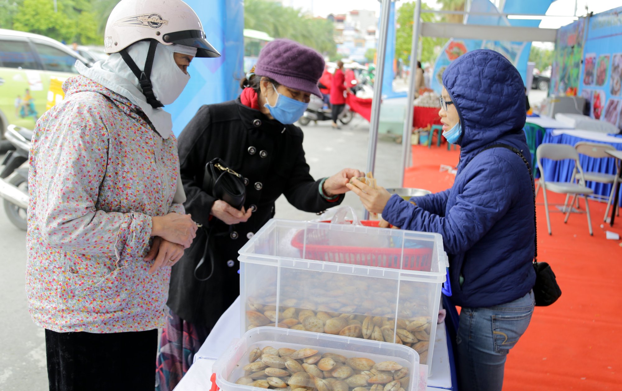 Ngao hai cùi - mô trong những sản phẩm thuỷ sản thế mạnh của Quảng Ninh có cơ hội tiêu thụ rất lớn tại thị trường Hà Nội.