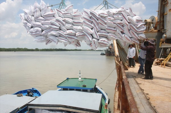 Gạo Việt Nam xuất khẩu sang EU. Ảnh: TTXVN