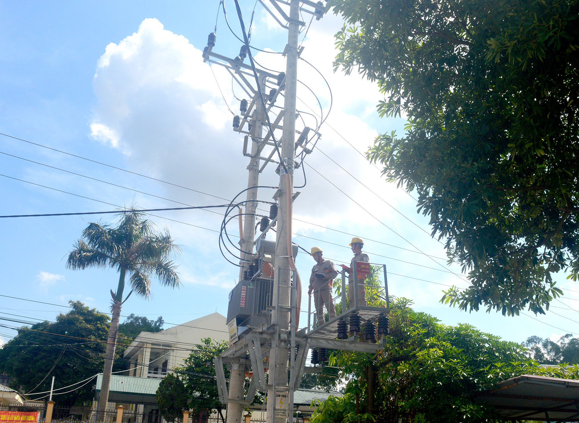 Công nhân kiểm tra đường điện ở phường Hoành Bồ, TP Hạ Long. 