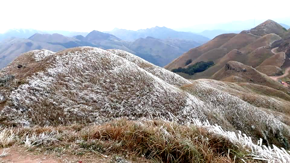 Tại Bình Liêu, băng tuyết cũng đã phủ trắng xóa những ngọn đồi cỏ lau. 