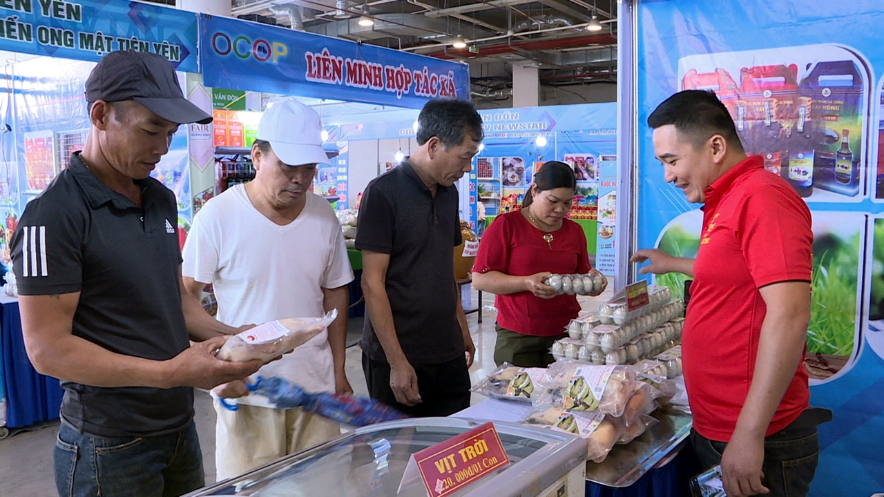 Vịt trời Duy Khương, sản phẩm OCOP của huyện Hải Hà ngày càng được thị trường đón nhận.