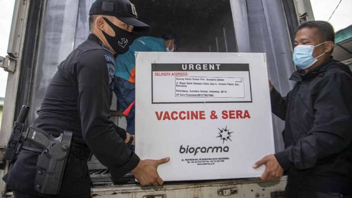 Vaccine Covid-19 của Sinovac được chuyển đến các tỉnh trên toàn Indonesia. Nguồn: CNN Indonesia