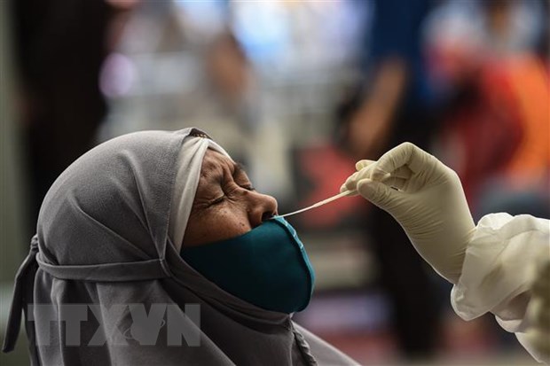 Nhân viên y tế lấy mẫu xét nghiệm COVID-19 tại Jakarta, Indonesia. (Ảnh: THX/TTXVN)