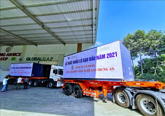 Xe chở lô hàng gạo xuất khẩu đầu năm 2021 của Công ty Cổ phần Nông nghiệp công nghệ cao Trung An chuẩn bị ra cảng. 
