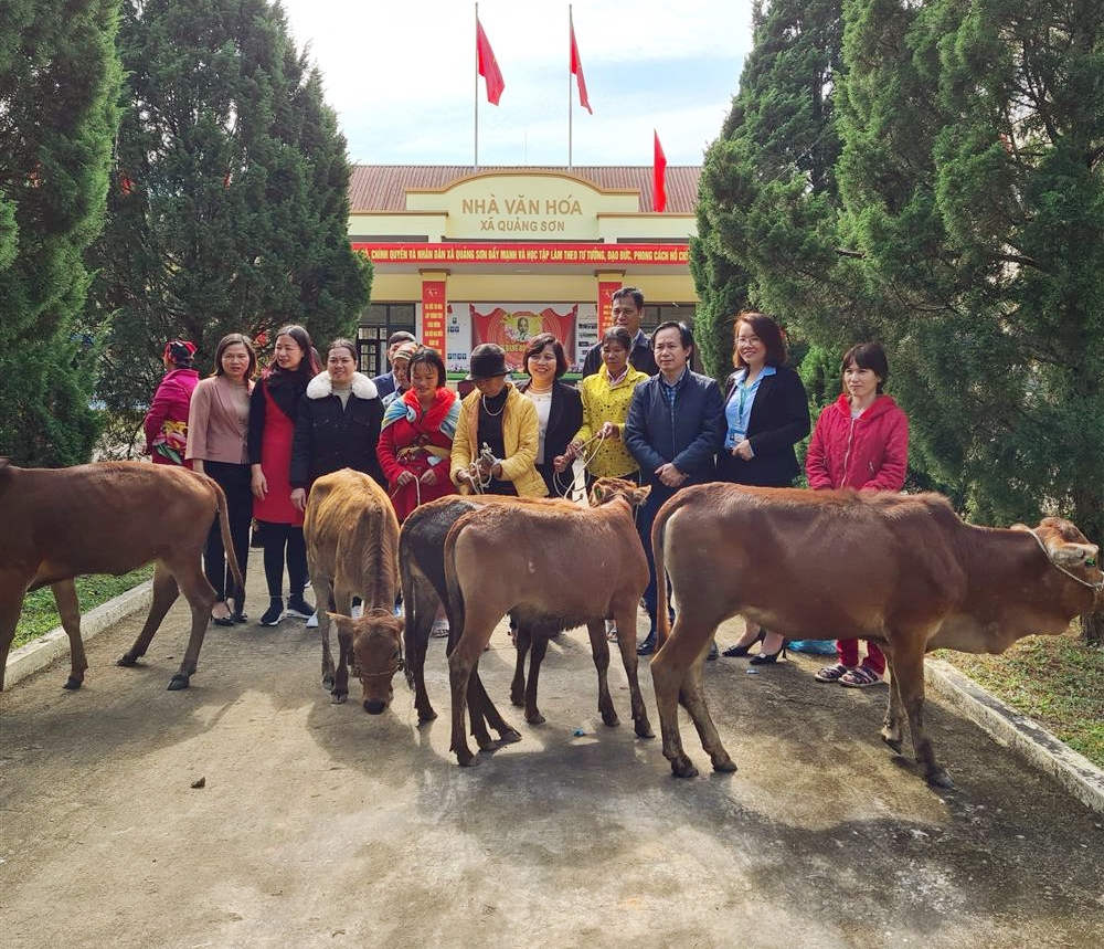 Hội LHPN tỉnh trao bò giống hỗ trợ các hộ nghèo tại xã Quảng Sơn (huyện Hải Hà)