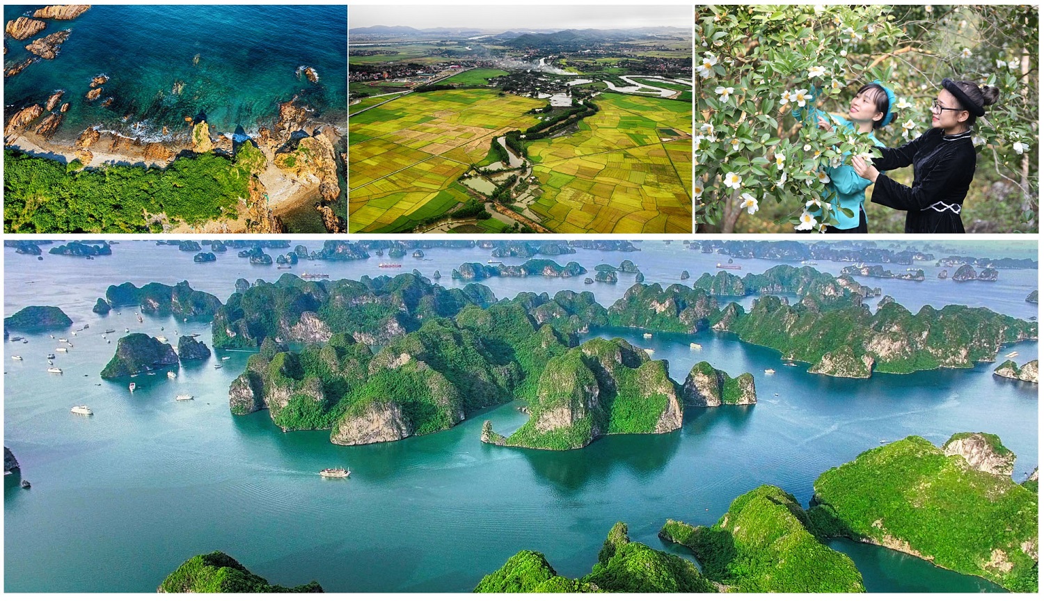 Được ví như một Việt Nam thu nhỏ, Quảng Ninh sở hữu những nguồn lực về tài nguyên, khoáng sản, cảnh quan kỳ vĩ, thiên nhiên phong phú, đặc sắc