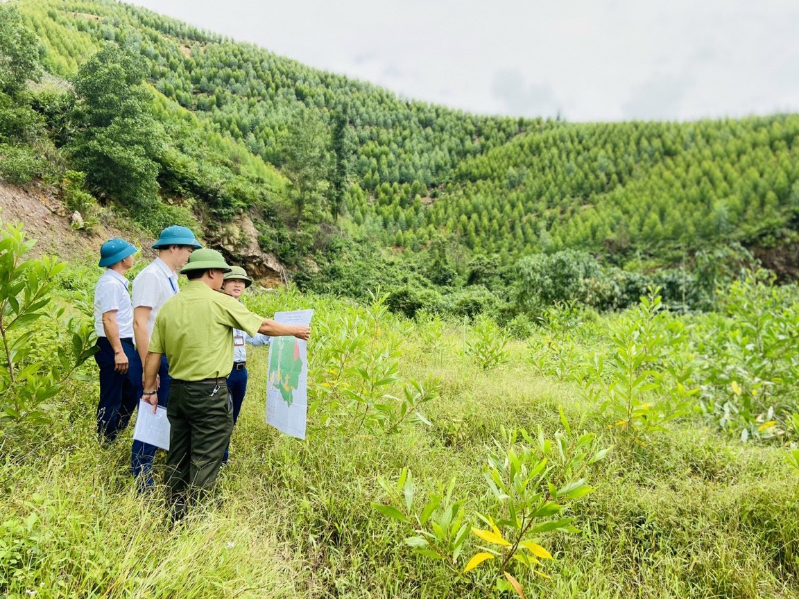 TP Uông Bí khảo sát thực địa tại phường Vàng Danh để bàn giải pháp nâng cao tỷ lệ che phủ rừng trên địa bàn.