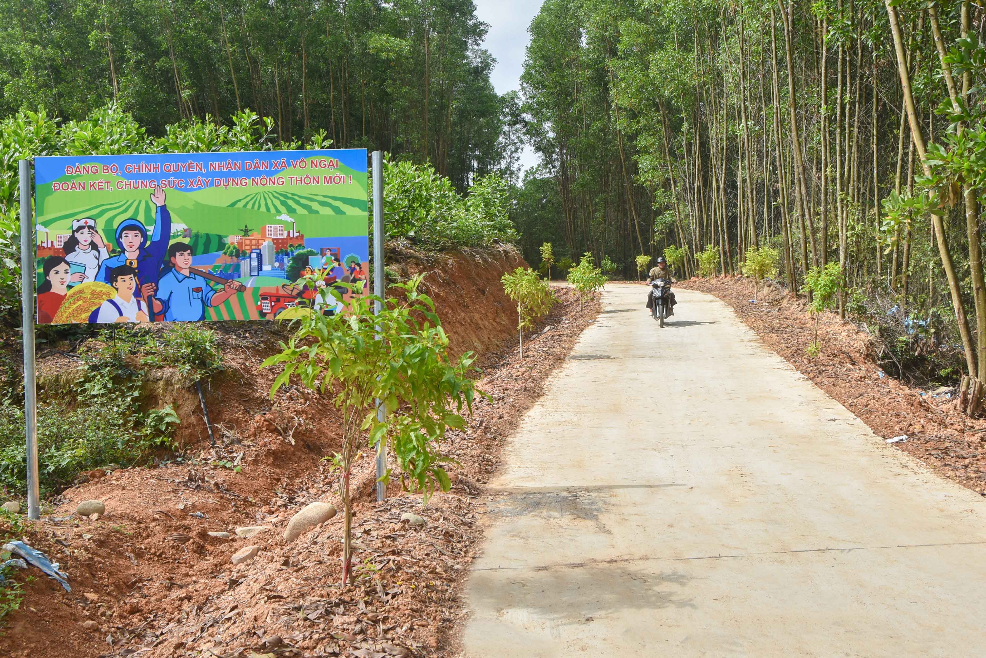 Tuyến đường NTM kiểu mẫu tại thôn Khe Lánh 2, xã Vô Ngại, huyện Bình Liêu.