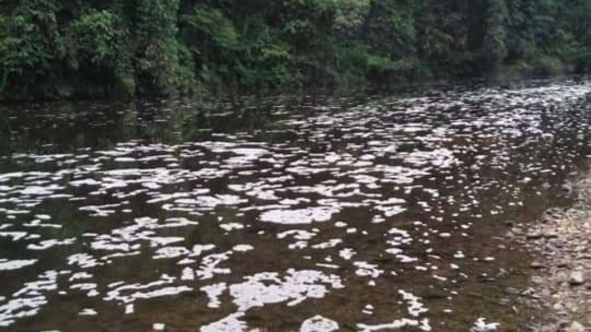 Dòng sông Phó Đáy đoạn qua huyện Yên Sơn, tỉnh Tuyên Quang có dấu hiệu bất thường (ảnh chụp tháng 5/2020)