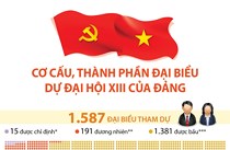 Cơ cấu, thành phần đại biểu dự Đại hội XIII của Đảng