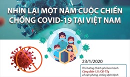 Nhìn lại một năm cuộc chiến chống COVID-19 tại Việt Nam