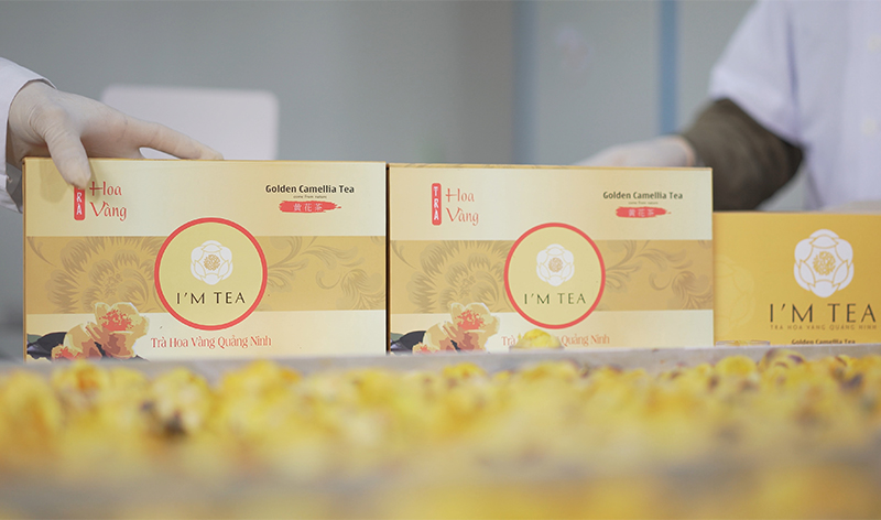 Trà hoa vàng đóng lọ là một trong những dòng sản phẩm của Công ty CP Trà hoa vàng Quảng Ninh.