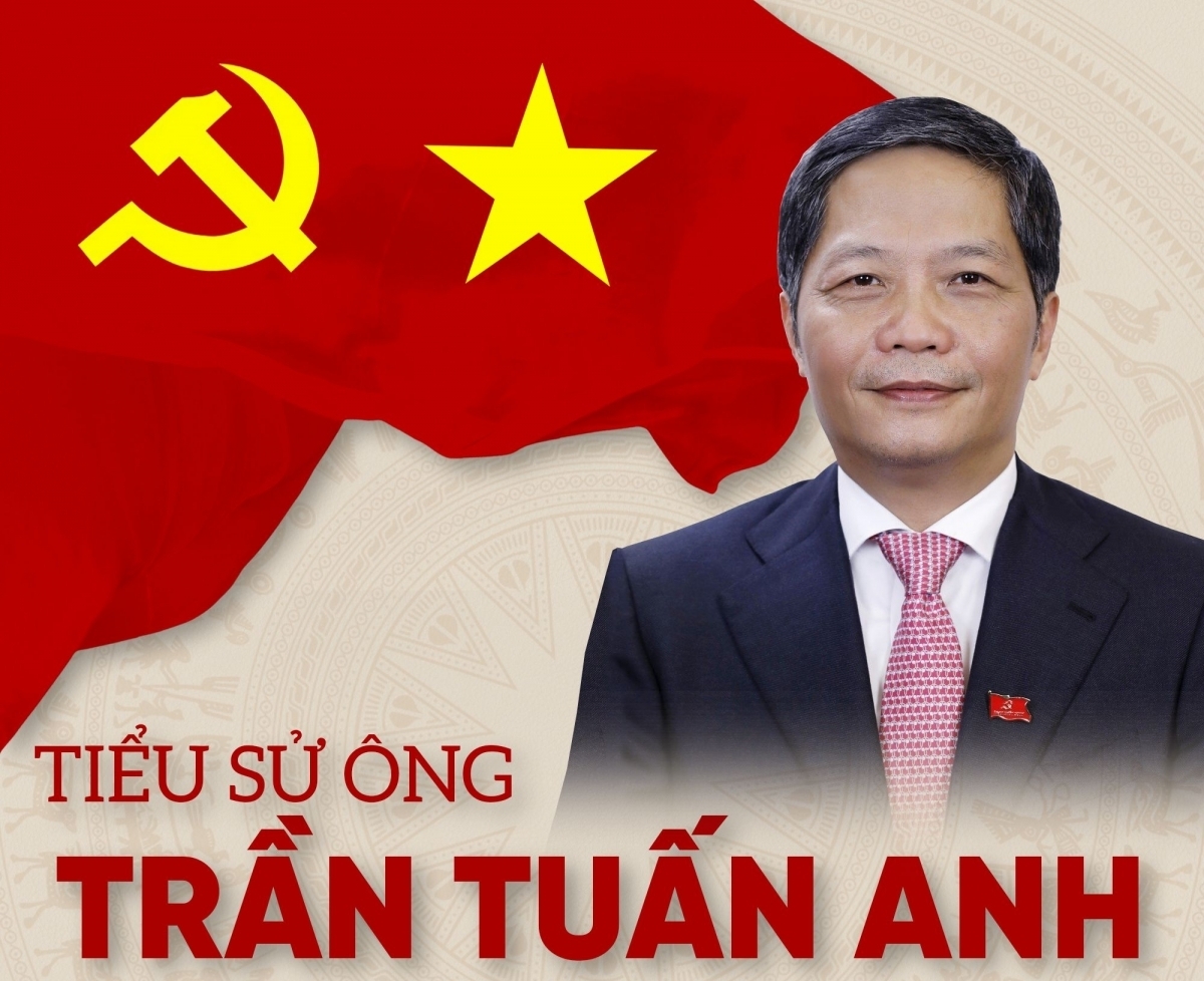 Tiểu sử ông Trần Tuấn Anh - Ủy viên Bộ Chính trị, Trưởng Ban Kinh tế Trung ương khóa XIII