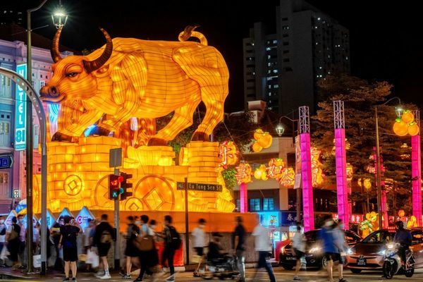  Chiếc đèn lồng khổng lồ hình chú trâu vàng tại Khu phố Trung Hoa, Singapore. Ảnh: Reuters