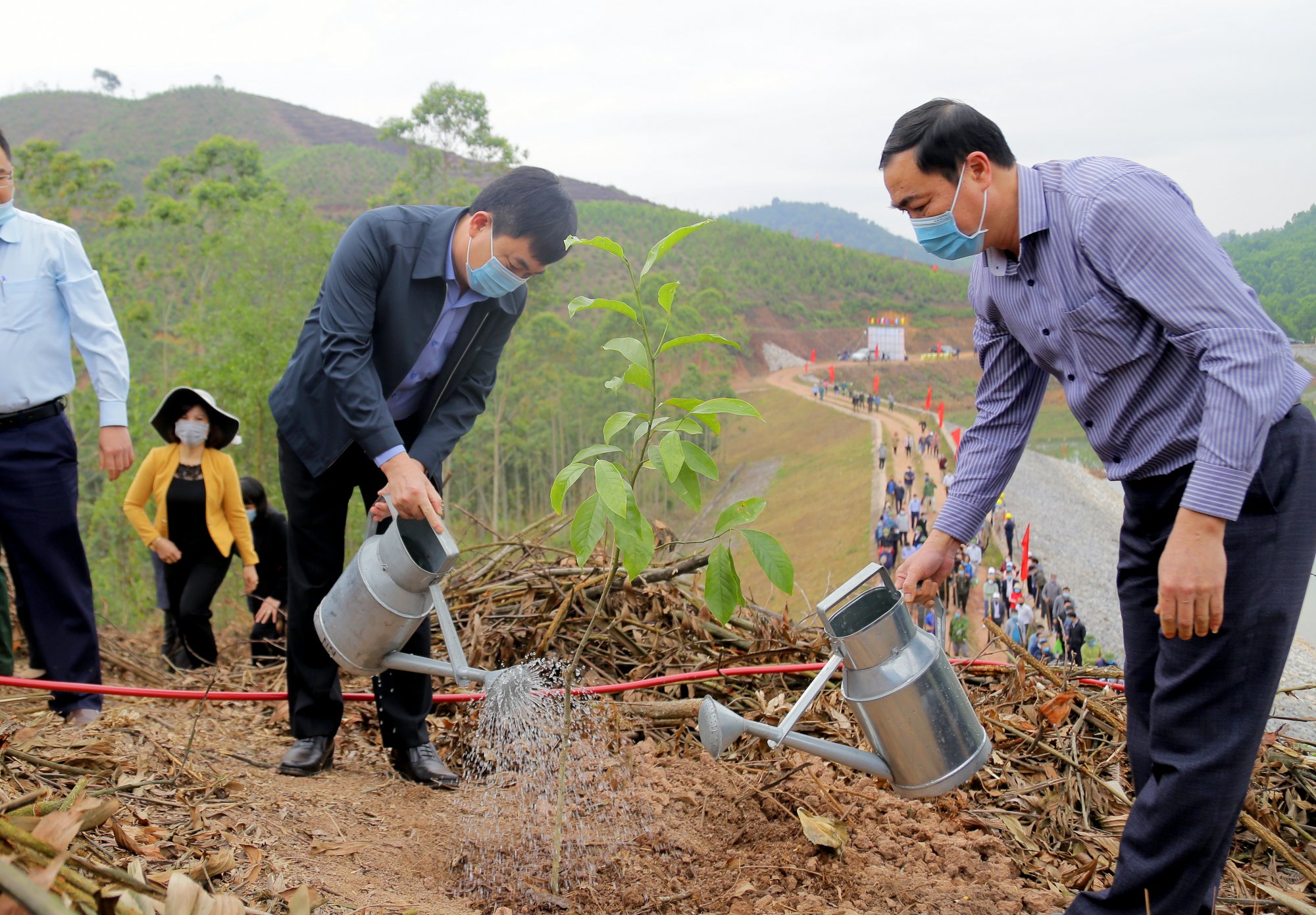 Đồng chí Ngô Hoàng Ngân, Phó Bí thư Thường trực Tỉnh ủy trực tiếp trồng cây Dổi hạt đầu tiên tại khu vực 