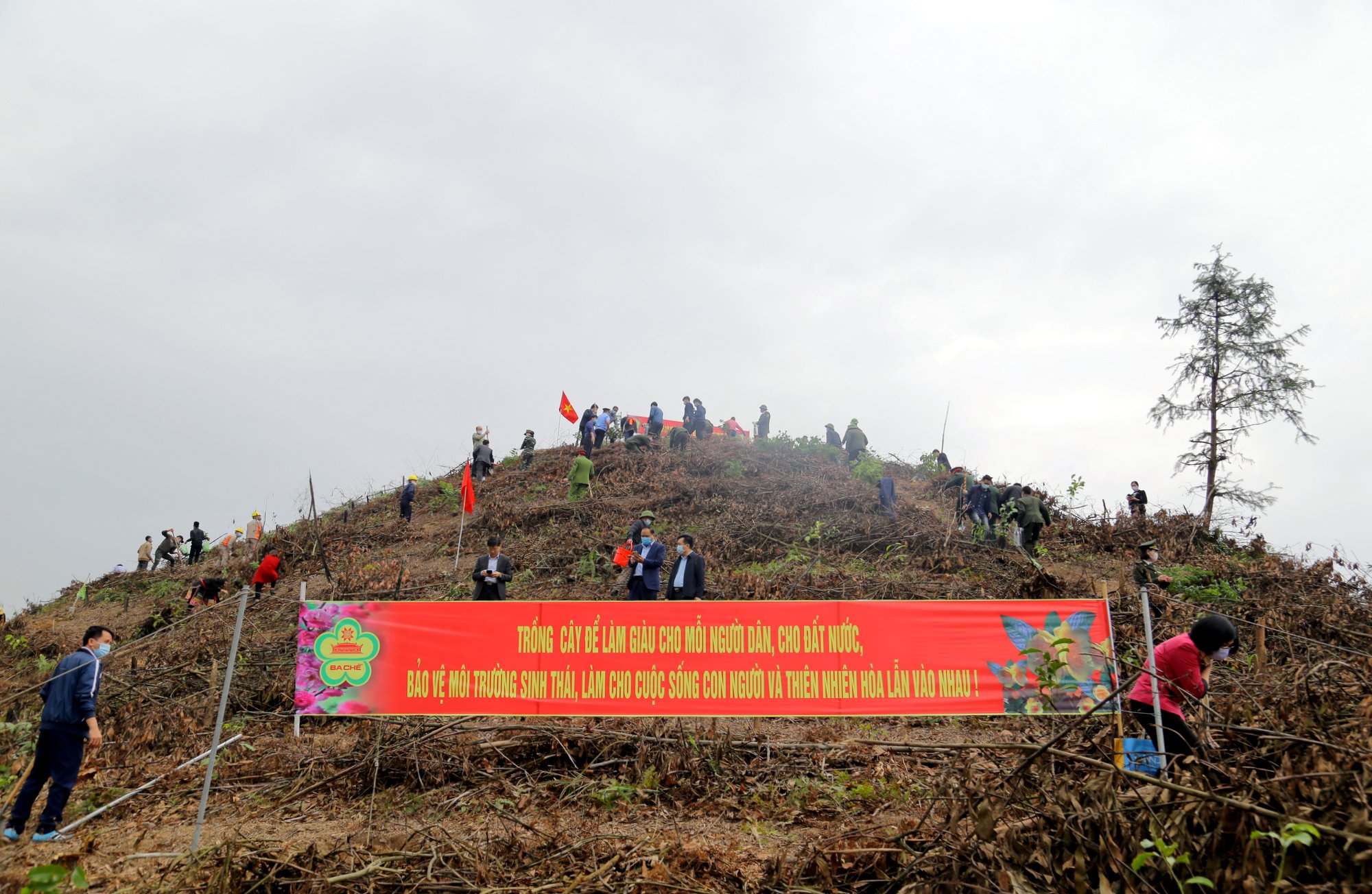 Ngay trong lễ phát động, đã có 4.700 cây gỗ lớn các loại được trồng tại khu vực Hồ chứa nước thôn Khe Lọng, xã Thanh Sơn, huyện Ba Chẽ.