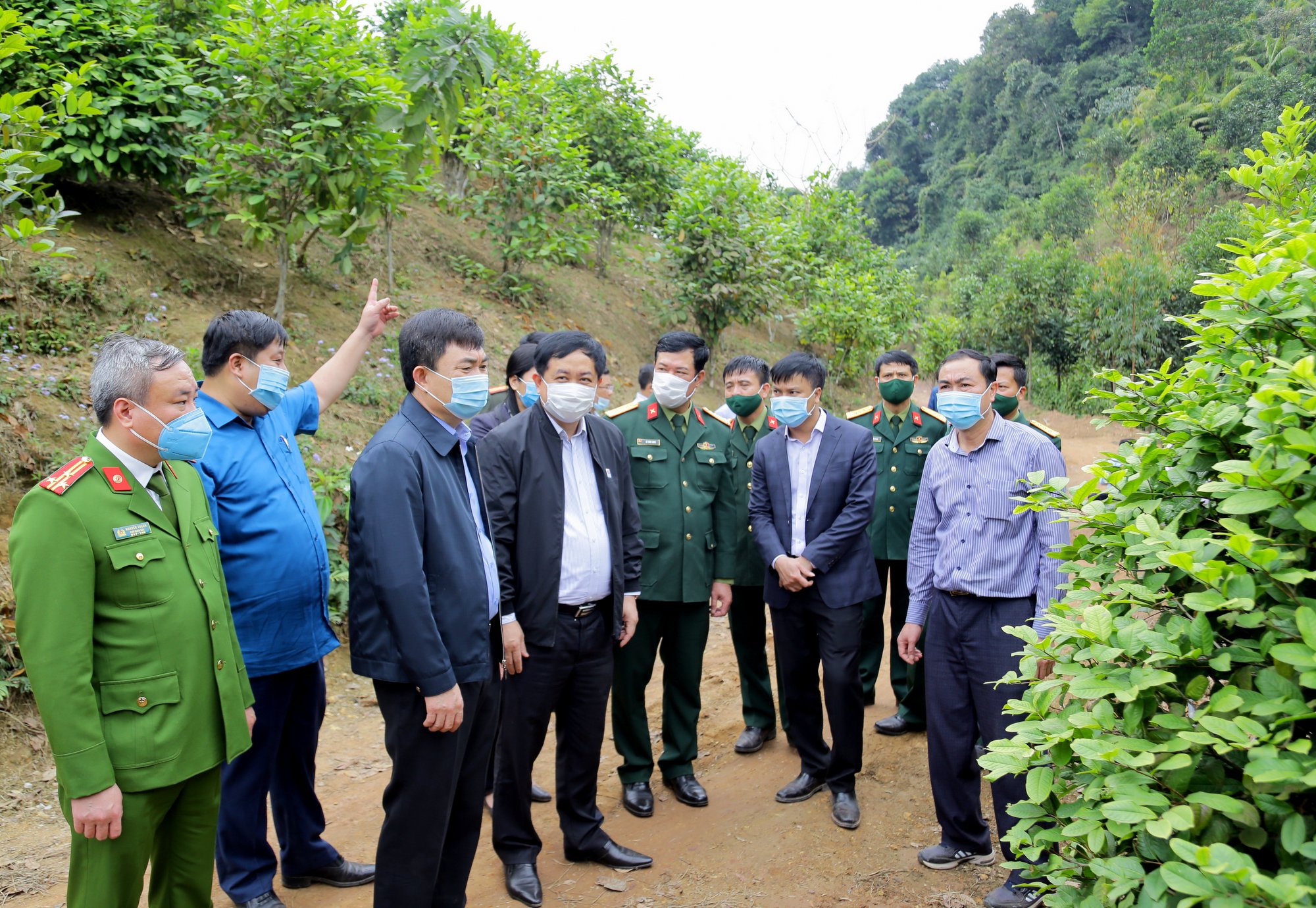 Phó Bí thư Thường trực Tỉnh ủy Ngô Hoàng Ngân đến thăm mô hình trồng cây chè hoa vàng tại của gia đình ông Đàm Văn Cường, thôn Khe Lọng Ngoài, xã Thanh Sơn