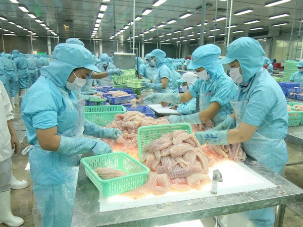 Chế biến cá tra xuất khẩu tại nhà máy của Tập đoàn Sao Mai, tỉnh Đồng Tháp. (Ảnh: Vũ Sinh/TTXVN)