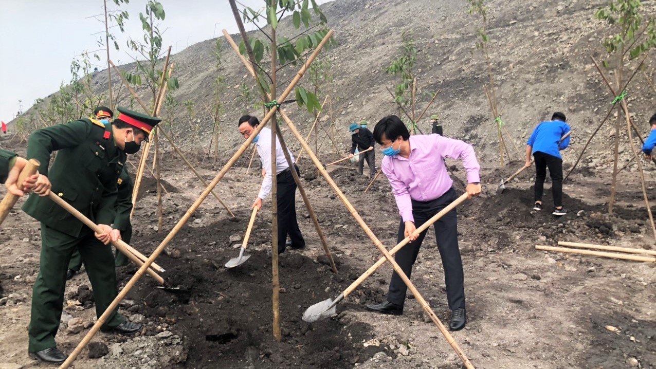 Lãnh đạo thành phố Cẩm Phả cùng cán bộ công nhân công nhân Công ty TNHH MTV Khe Sim trồng cây gỗ lớn hoàn nguyên môi trường tại bãi thải Tây Lộ Trí
