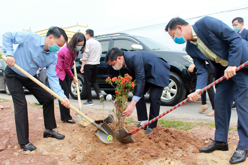 TP Móng Cái tổ chức Tết trồng cây đời đời nhớ ơn Bác Hồ Xuân Tân Sửu 2021.