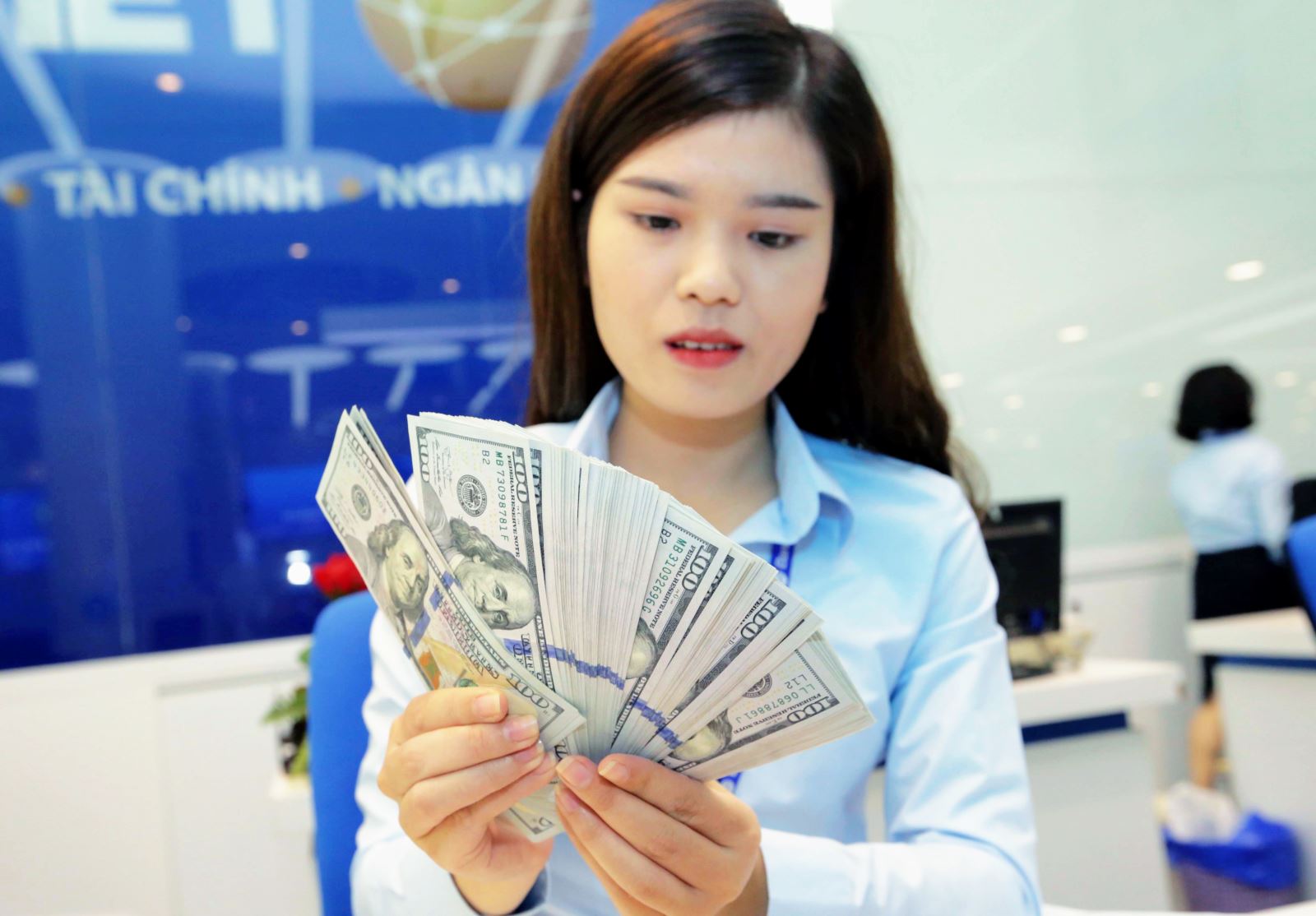 Tỷ giá trần mà các ngân hàng áp dụng hôm nay là 23.824 VND/USD và tỷ giá sàn là 22.436 VND/USD. Ảnh minh họa: Trần Việt/TTXVN