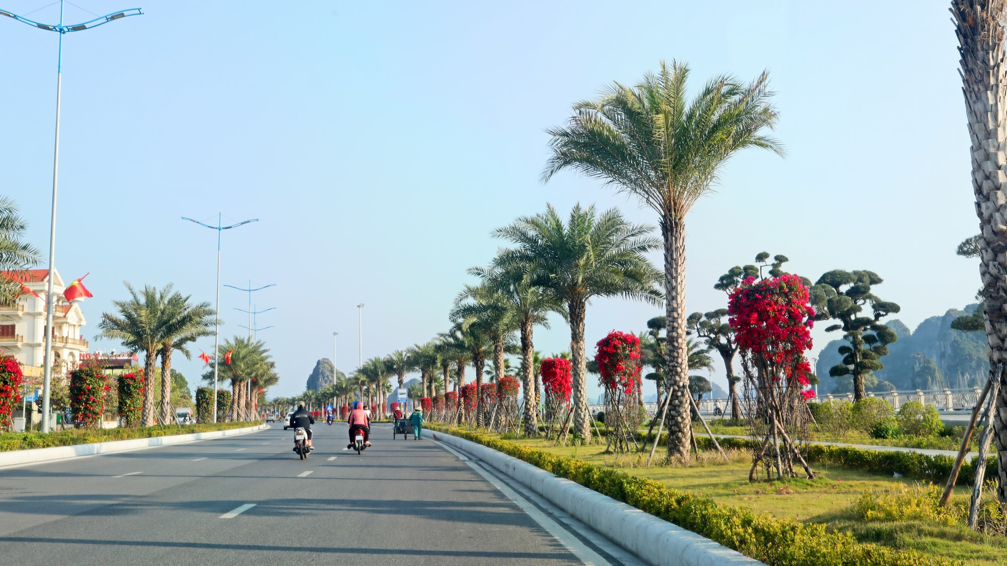 Tuyến đường bao biển Trần Quốc Nghiễn, vốn được mệnh danh là con đường đẹp nhất thành phố, nay càng thêm lộng lẫy với những sắc màu rực rỡ của các loài hoa.