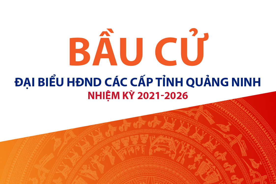 Quy trình bầu cử Đại biểu HĐND các cấp tỉnh Quảng Ninh nhiệm kỳ 2021-2026