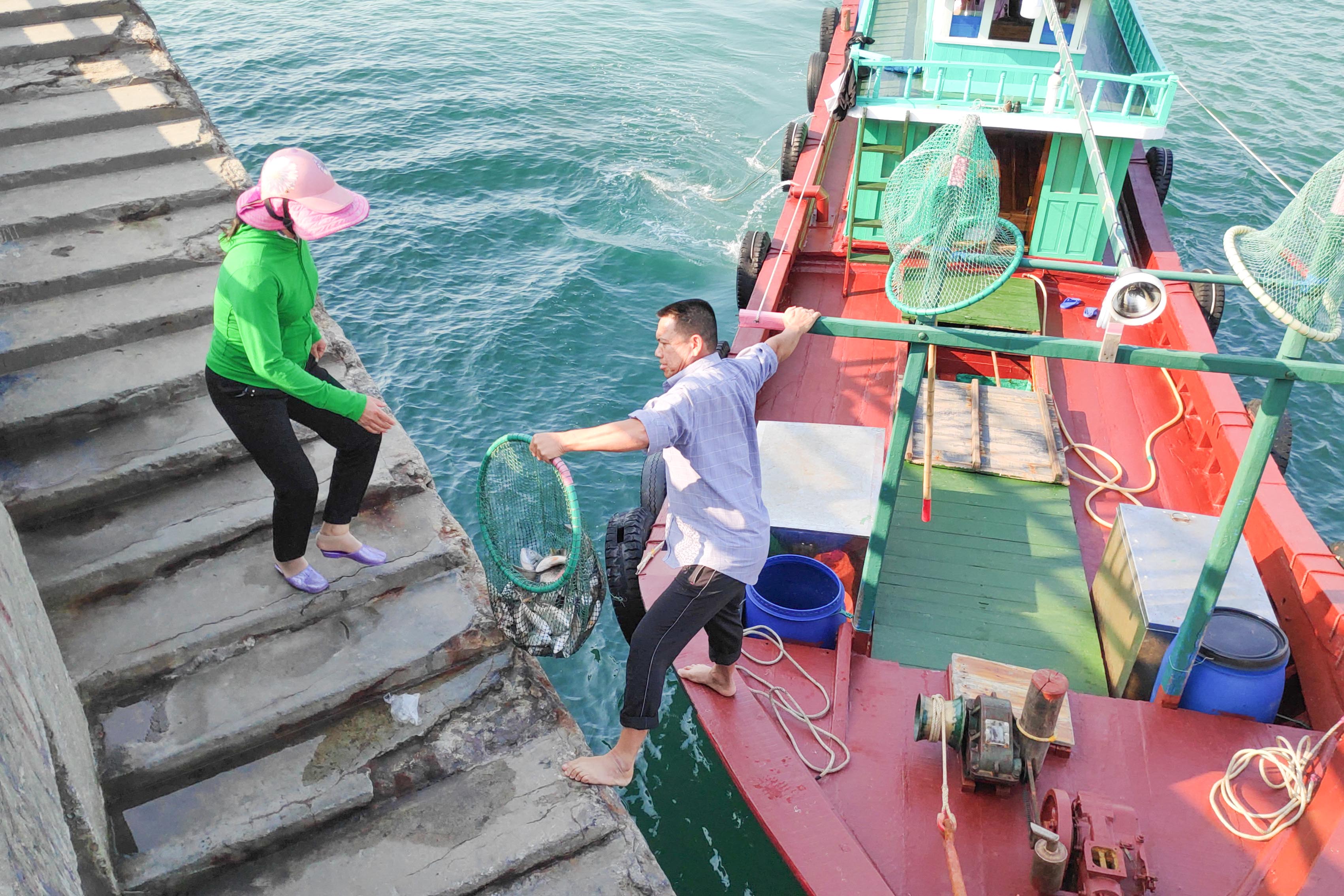 Ngư dân thị trấn Cô Tô (huyện Cô Tô) cập bến sau chuyến đánh bắt trên biển.