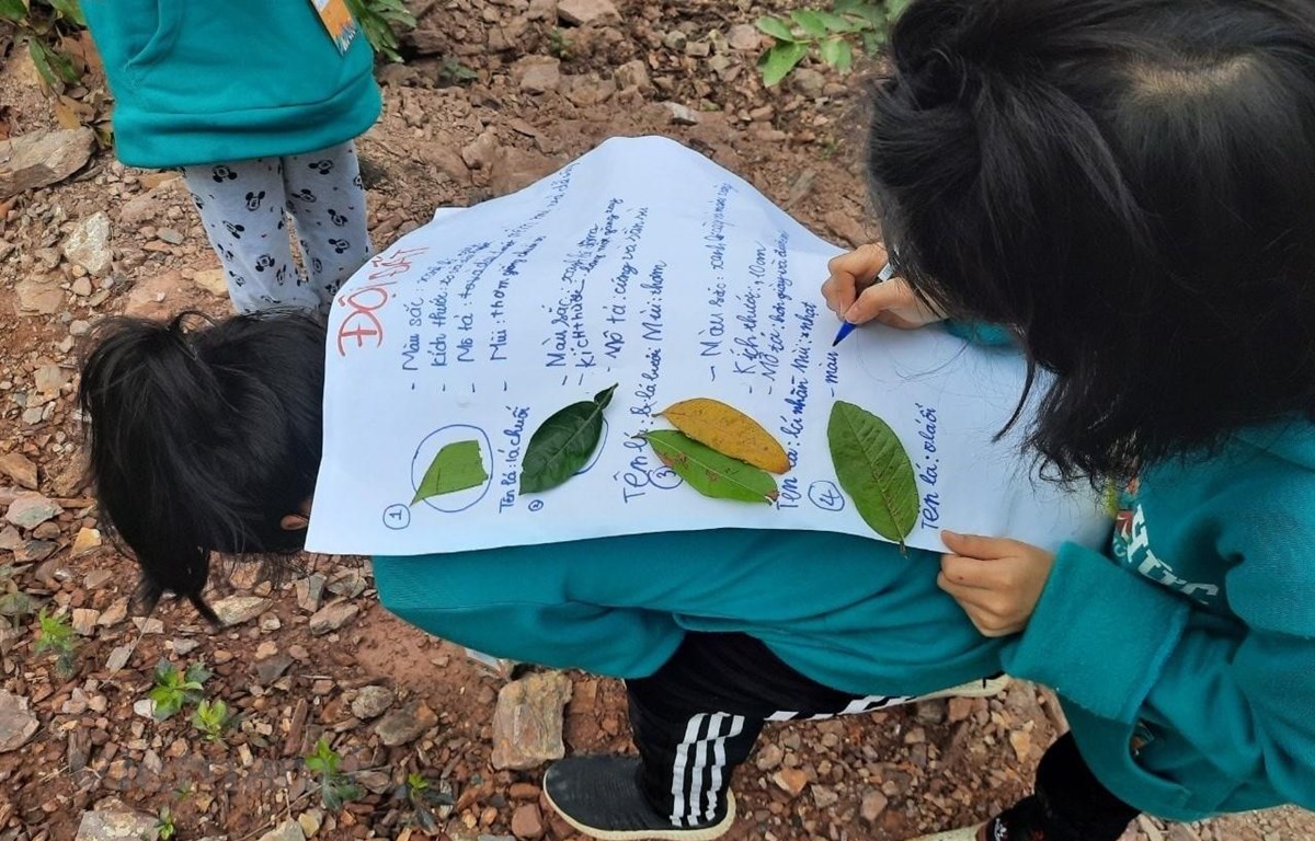 Vụ Thơ Nguyễn tung clip mê tín: Bổ sung chế tài mạnh để bảo vệ con trẻ - Báo  Quảng Ninh điện tử