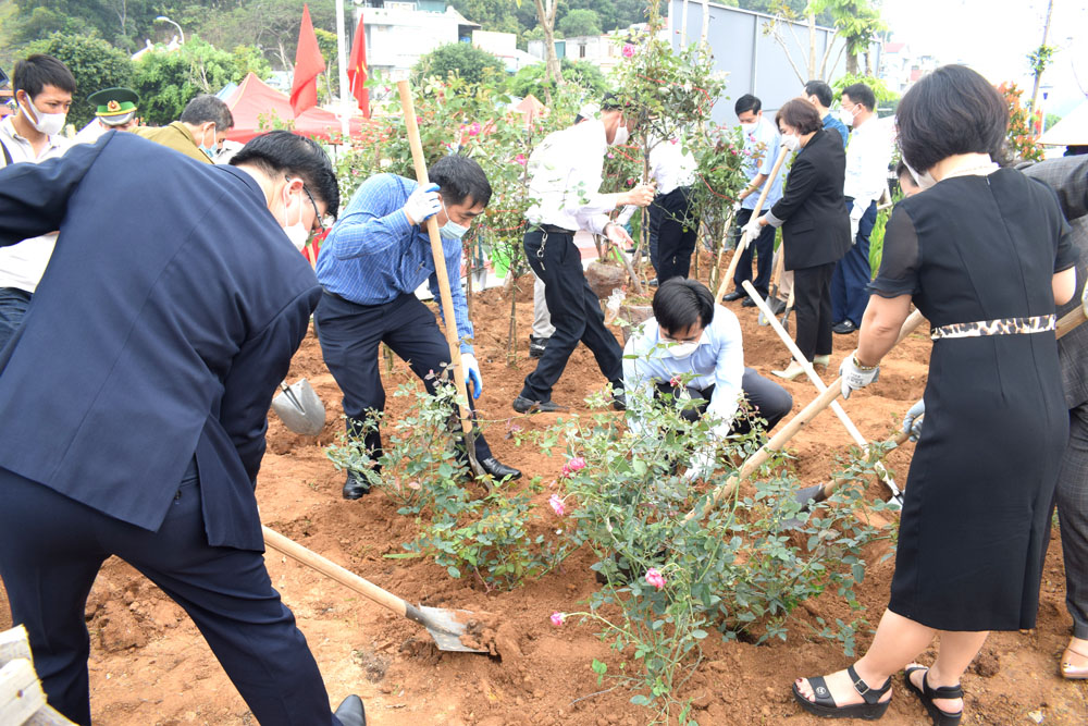 Các lãnh đạo và nhân dân phường Cửa Ông đã trồng 600 cây hồng tại lễ phát động