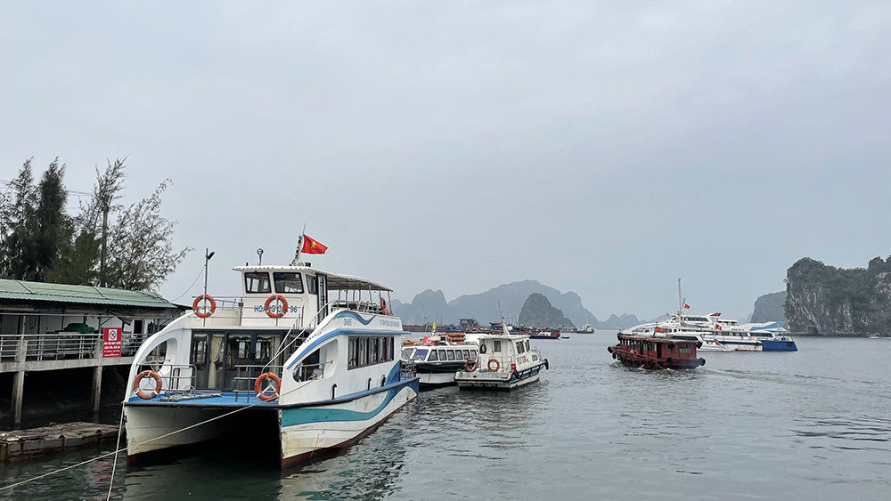 Hệ thống tàu cao tốc tại Bến thủy nội địa Hoàng Gia do doanh nghiệp tư nhân đầu tư.