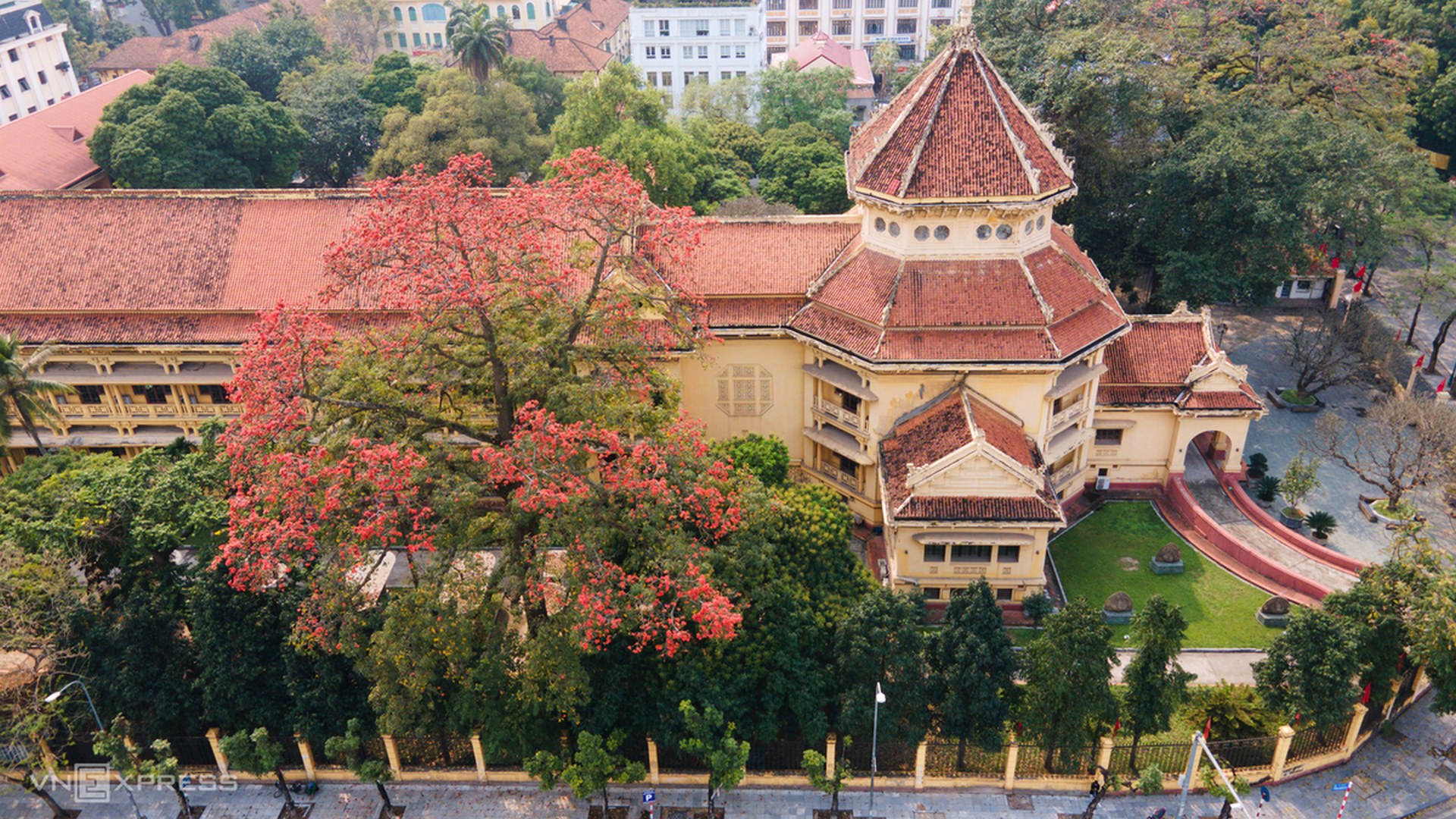  Hoa gạo (còn gọi là hoa mộc miên) thường nở vào tháng 3, loài hoa phân bố chủ yếu ở miền bắc Việt Nam. Hoa gạo có 5 cánh lớn màu đỏ tươi, gắn với miền quê, con sông, triền đêm mái đình, cổng làng... Vào mùa hoa, cây trút lá rồi nở rộ. Trung tâm Thủ đô Hà Nội cách hồ Hoàn Kiếm chưa đầy 1 km, những cây gạo cổ thụ có đường kính gốc gần 1m cao hơn 30 m trong khuôn viên Bảo tàng Lịch sử quốc gia trổ hoa đỏ rực.