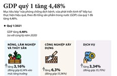 GDP quý 1 tăng 4,48% so với cùng kỳ năm ngoái