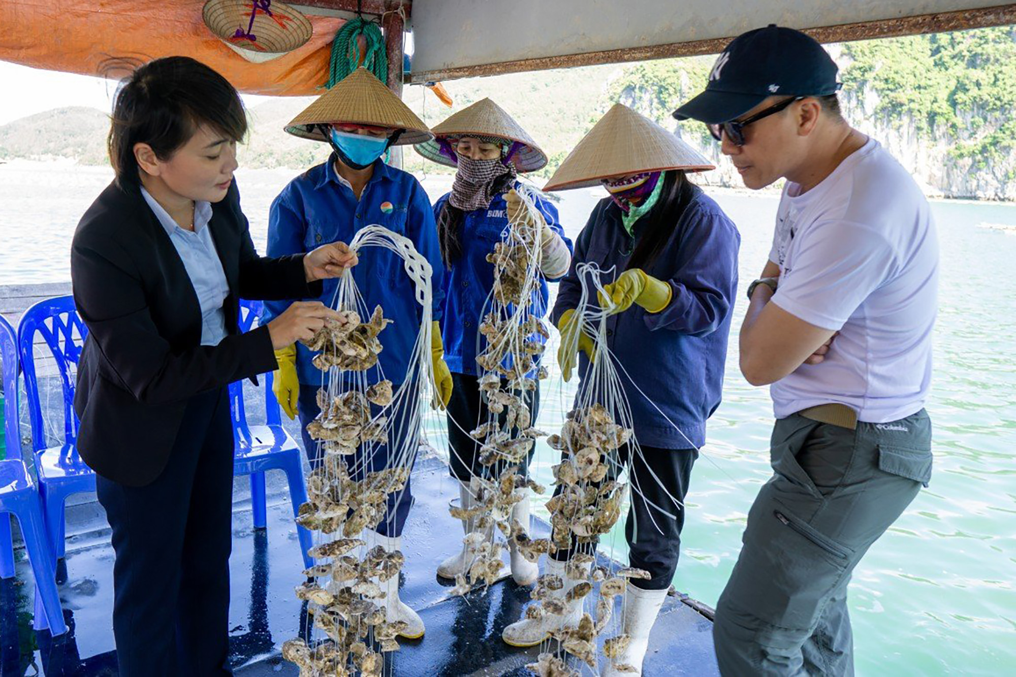 Cán bộ Công ty TNHH Đầu tư phát triển sản xuất Hạ Long hướng dẫn người dân nuôi, chăm sóc hàu sữa.