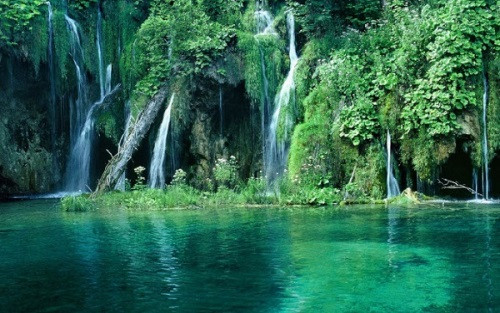 Phu Quoc National Park