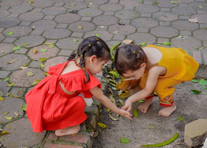 Không chỉ người lớn, các bé cũng hứng thú khi nhìn thấy lá vàng rụng.