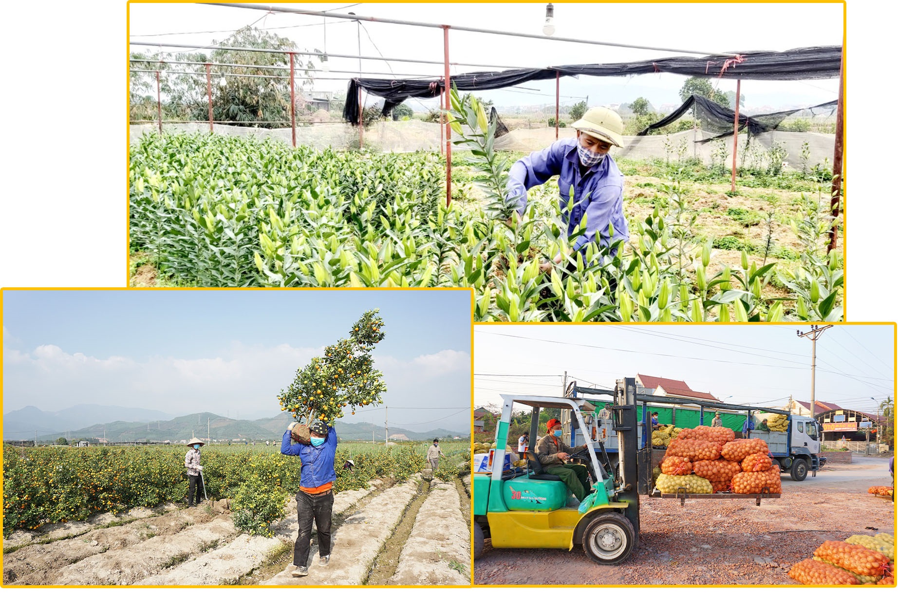 Trong điều kiện dịch bệnh, Quảng Ninh triển khai nhiều biện pháp hiệu quả hỗ trợ tiêu thụ nông sản cho người dân trong tỉnh.