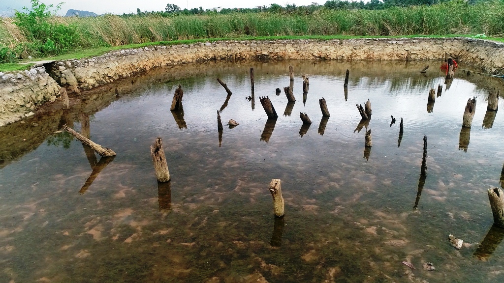 Bãi cọc Yên Giang nơi ghi dấu 