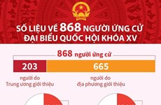 Số liệu về 868 người ứng cử đại biểu Quốc hội khóa XV