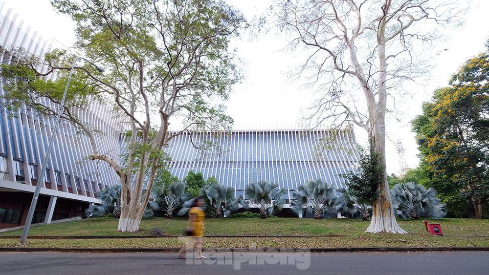 Bảo tàng Đắk Lắk mô phỏng ngôi nhà đậm chất truyền thống của dân tộc Ê đê.