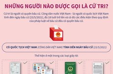 Những quy định về người được gọi là cử tri