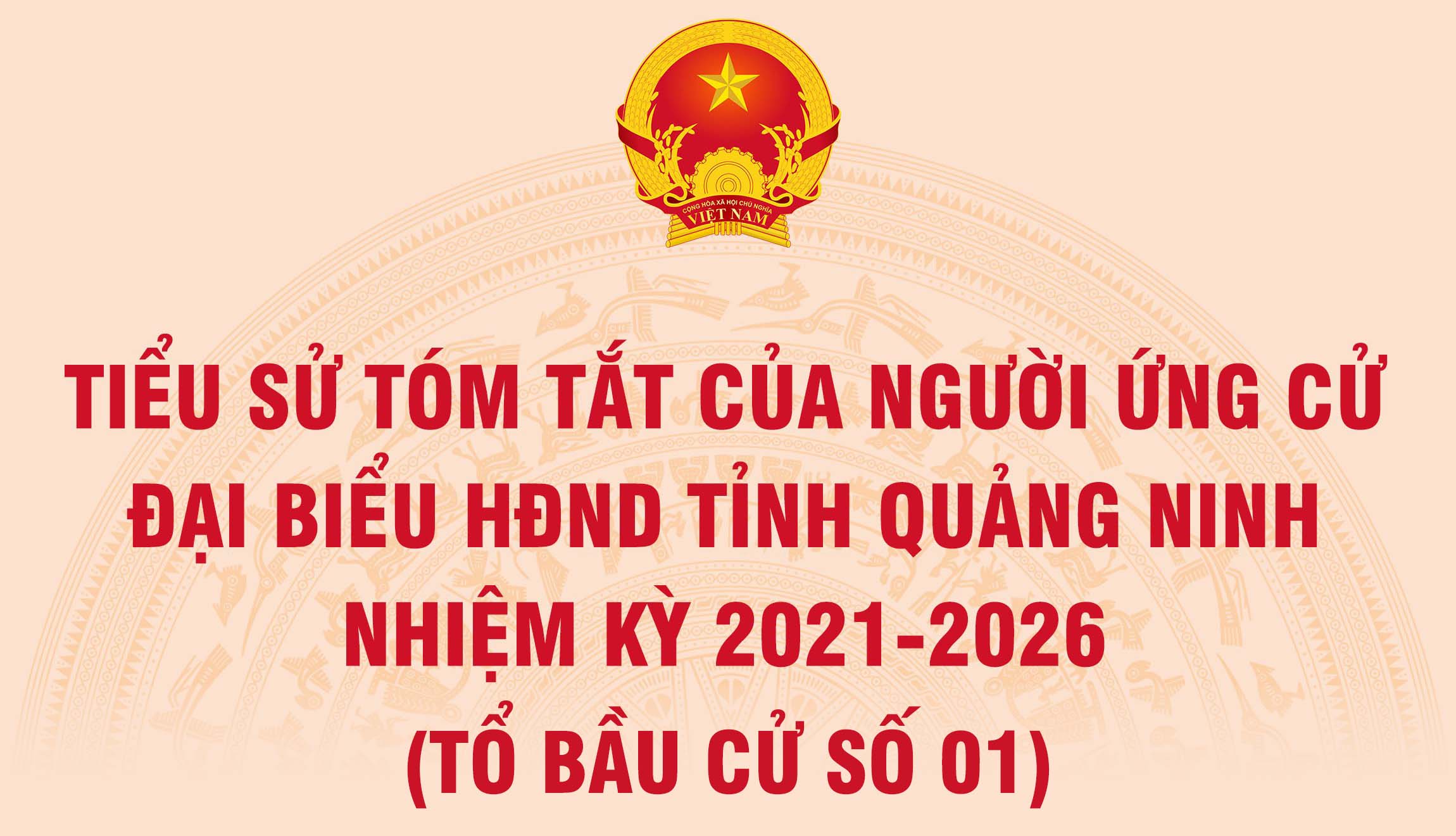 Tiểu sử tóm tắt của người ứng cử đại biểu HĐND tỉnh Quảng Ninh nhiệm kỳ 2021 - 2026 (Tổ bầu cử số 1)