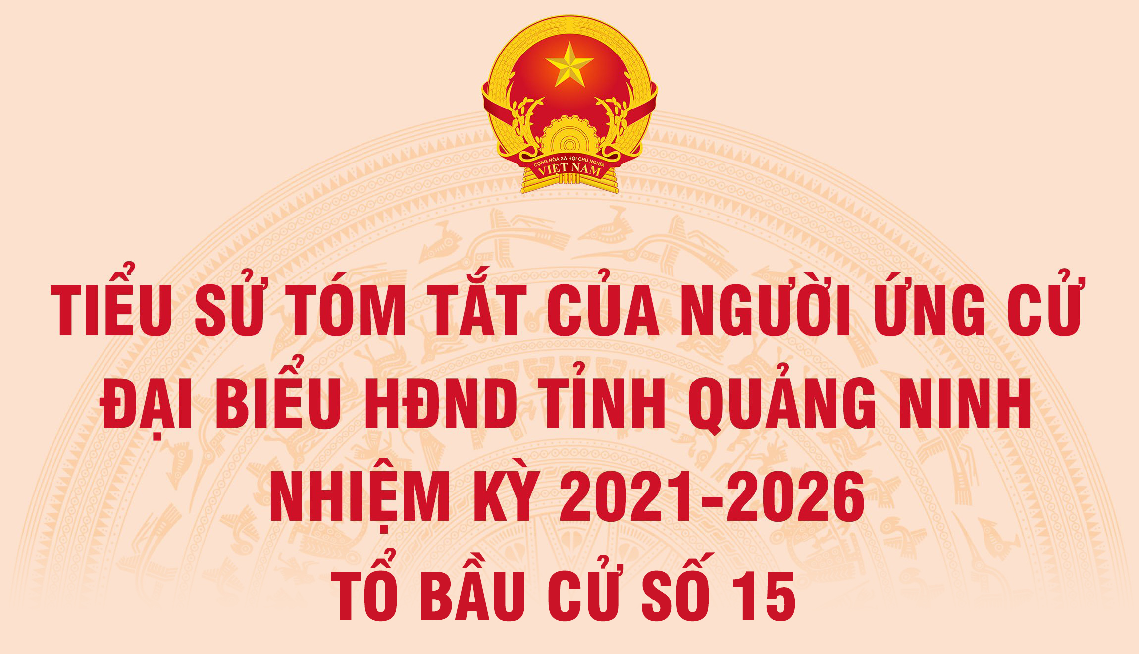 Tiểu sử tóm tắt của người ứng cử đại biểu HĐND tỉnh Quảng Ninh nhiệm kỳ 2021 - 2026 (Tổ bầu cử số 15)