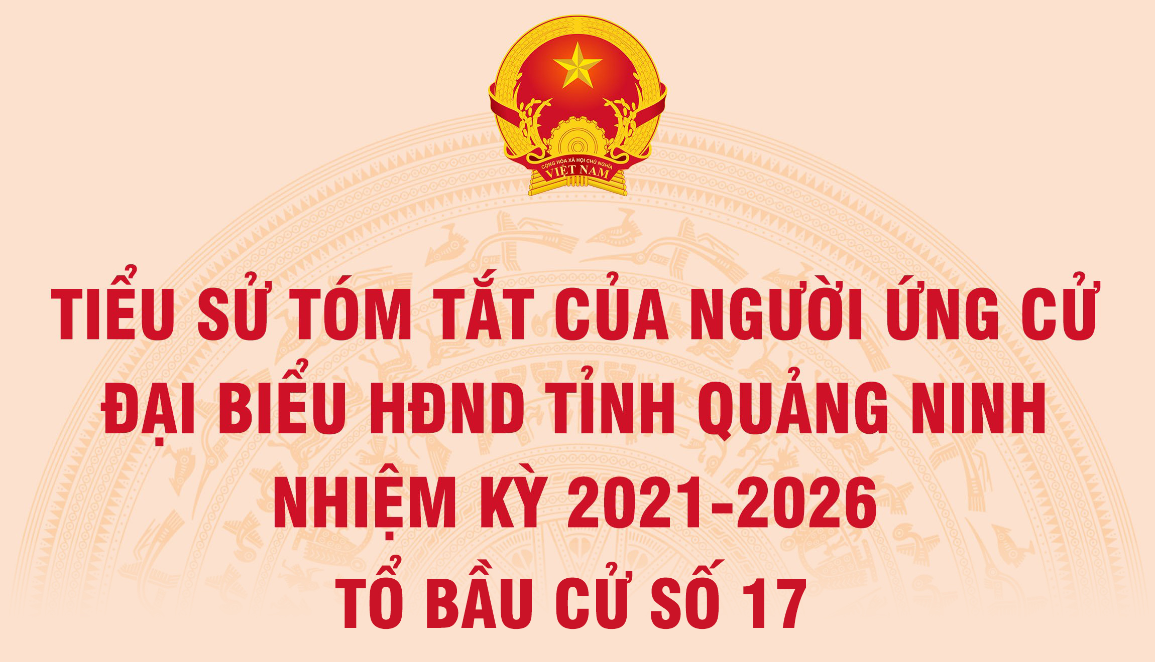 Tiểu sử tóm tắt của người ứng cử đại biểu HĐND tỉnh Quảng Ninh nhiệm kỳ 2021 - 2026 (Tổ bầu cử số 17)