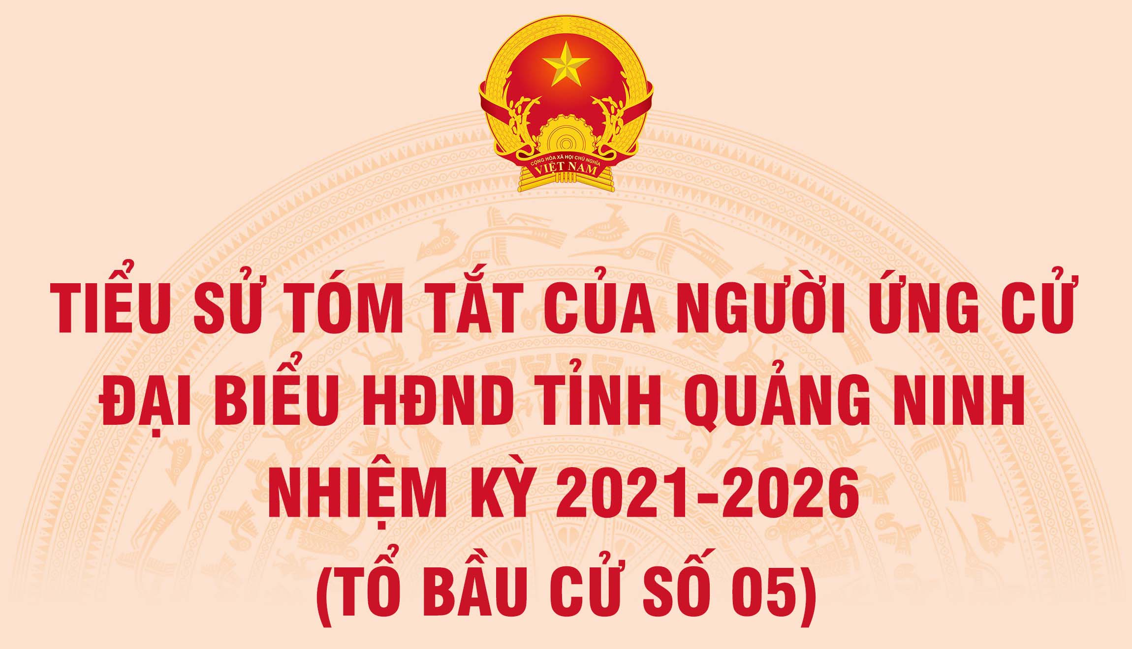 Tiểu sử tóm tắt của người ứng cử đại biểu HĐND tỉnh Quảng Ninh nhiệm kỳ 2021 - 2026 (Tổ bầu cử số 5)